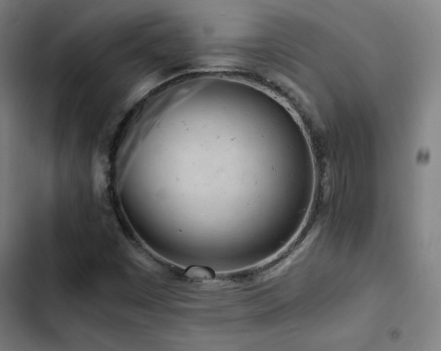 X0000103411449200809121254