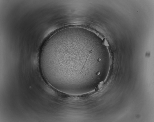 X0000103411450200809121254