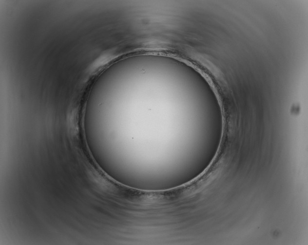 X0000103411451200809121254