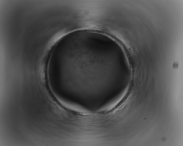 X0000103411455200809121254