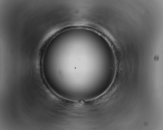 X0000103411456200809121254