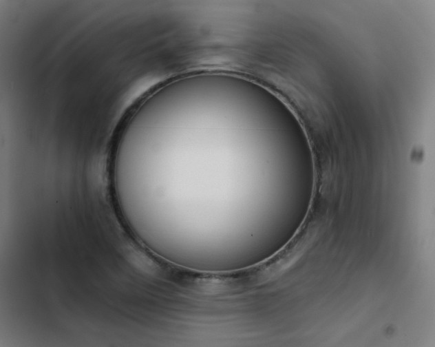 X0000103411458200809121254