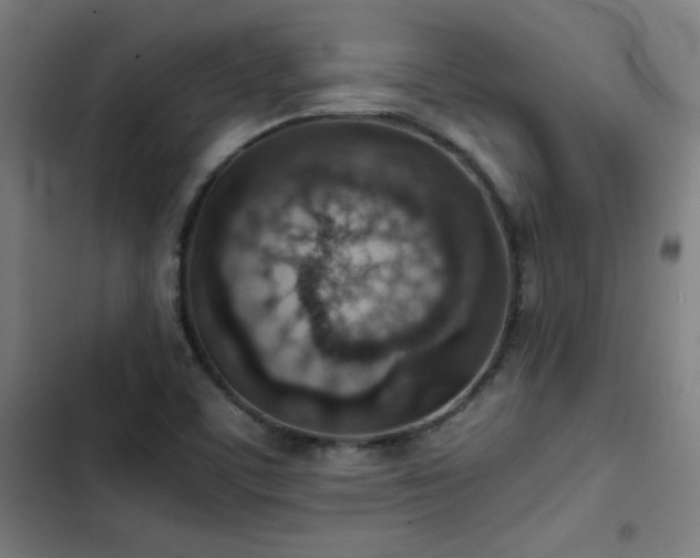 X0000103411459200809121254