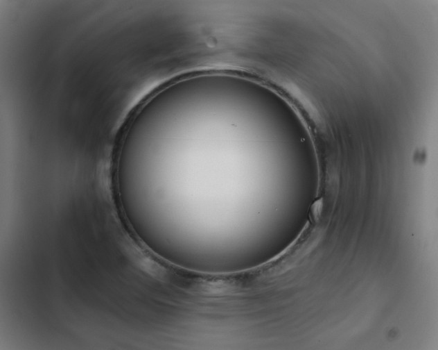 X0000103411460200809121254