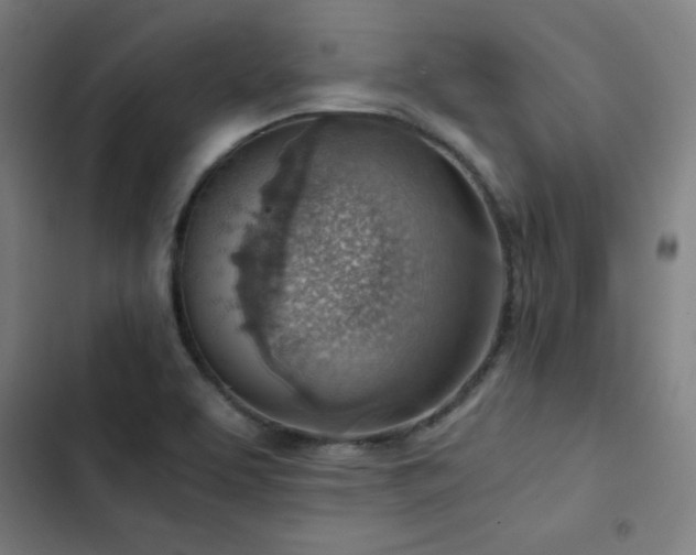 X0000103411463200809121254
