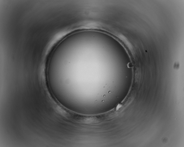 X0000103411464200809121254