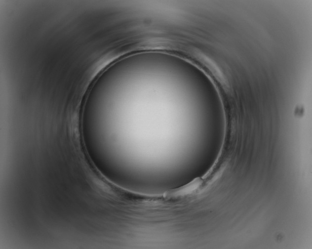 X0000103411465200809121254