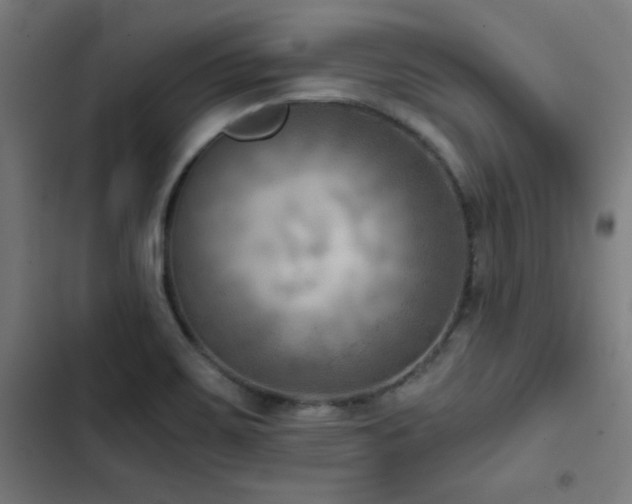 X0000103411467200809121254
