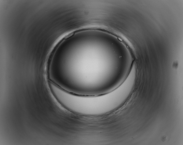 X0000103411468200809121254
