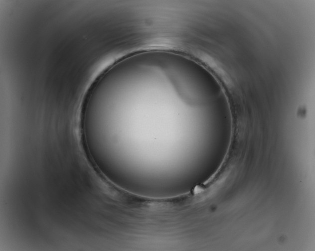 X0000103411469200809121254