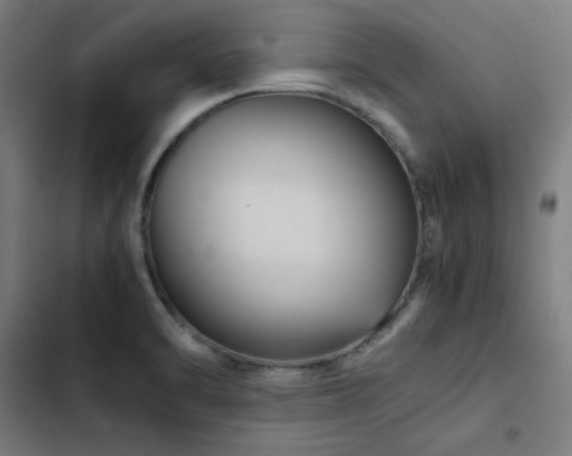 X0000103411470200809121254