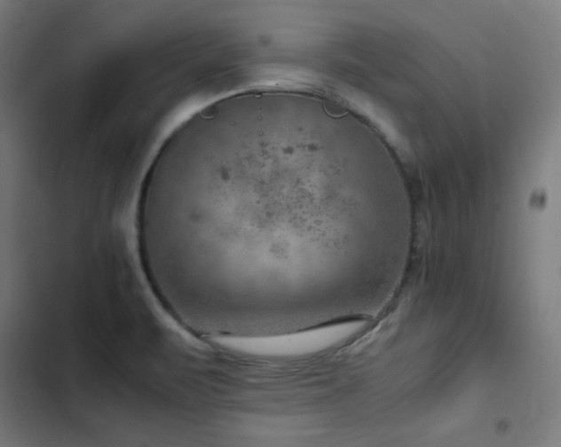 X0000103411471200809121254