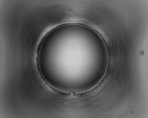 X0000103411472200809121254
