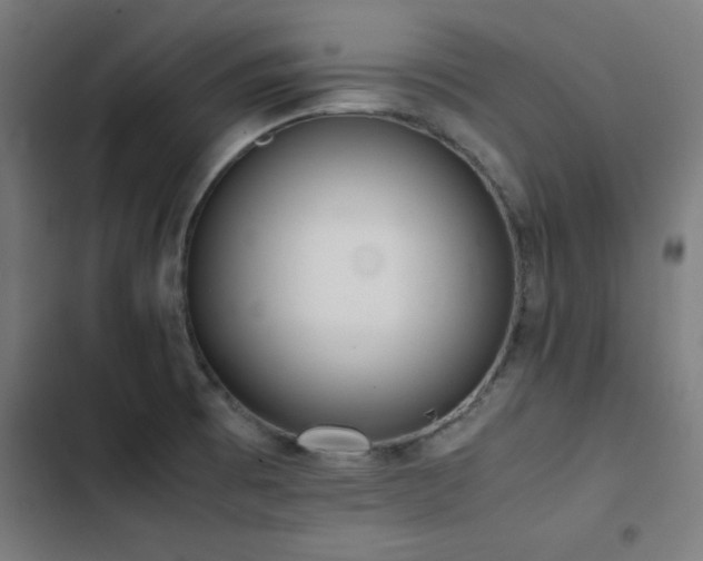 X0000103411473200809121254