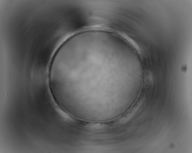 X0000103411474200809121254