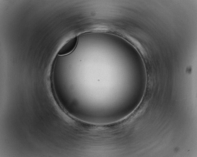 X0000103411475200809121254