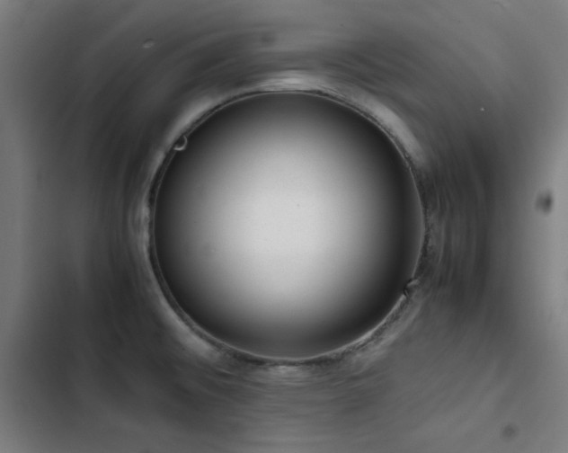 X0000103411476200809121254