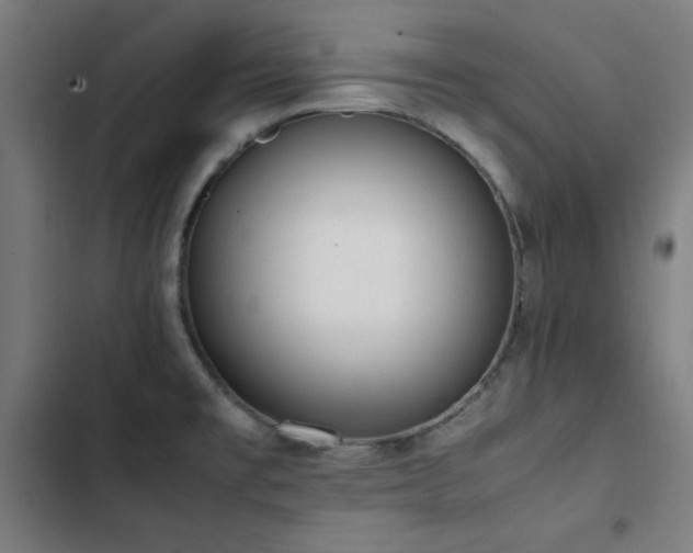 X0000103411477200809121254