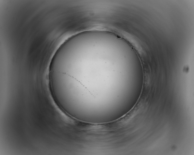 X0000103411479200809121254