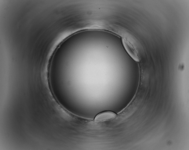 X0000103411480200809121254