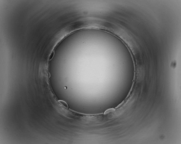 X0000103411481200809121254