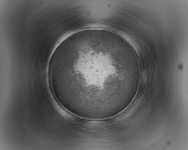 X0000103411482200809121254