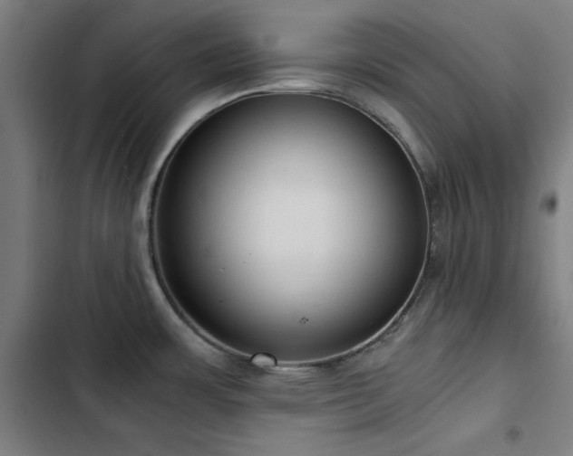 X0000103411483200809121254