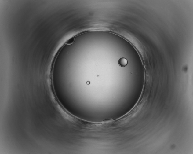 X0000103411485200809121254
