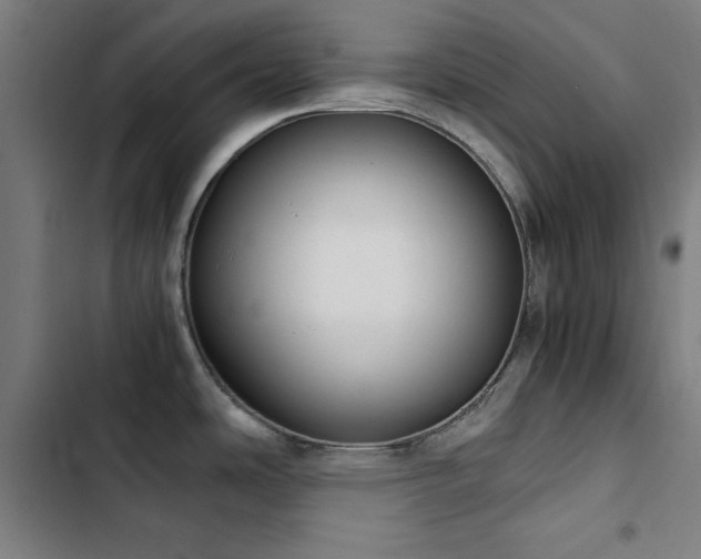 X0000103411486200809121254