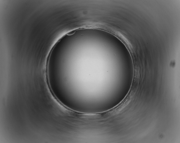 X0000103411487200809121254