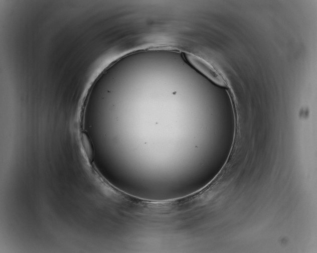 X0000103411488200809121254