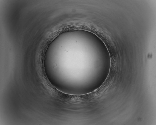 X0000103411489200809121253