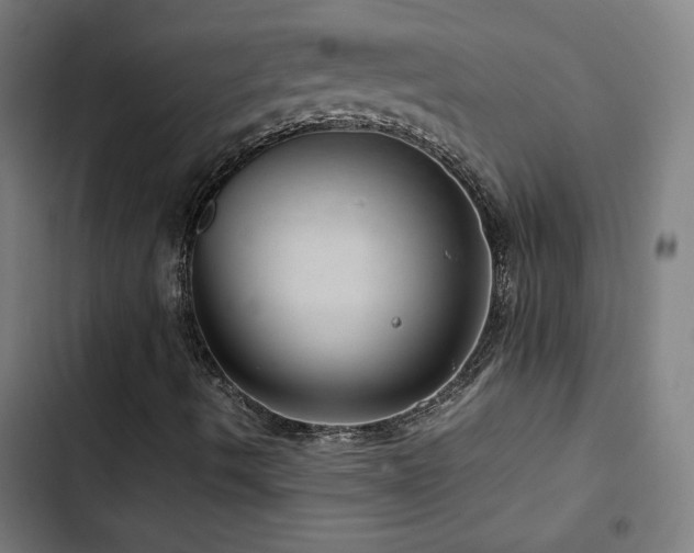 X0000103411490200809121253