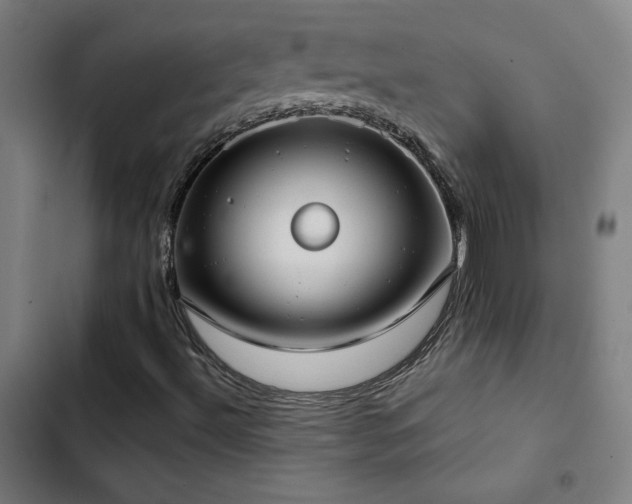X0000103411492200809121253