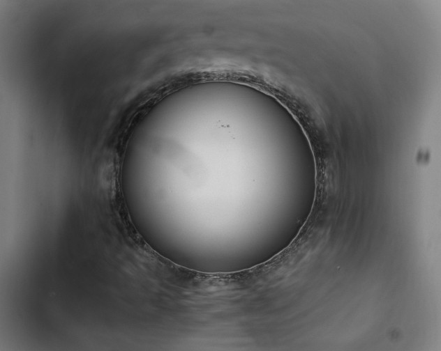 X0000103411493200809121253