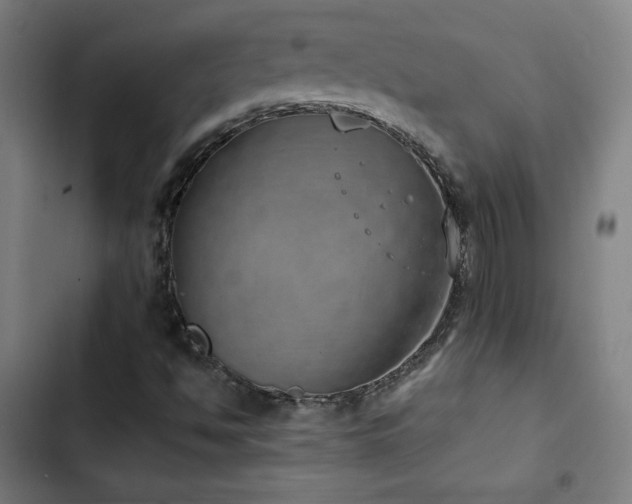 X0000103411494200809121253