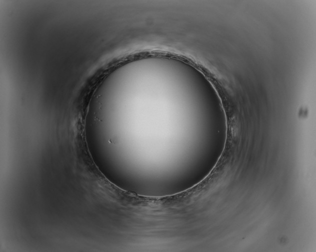 X0000103411495200809121253