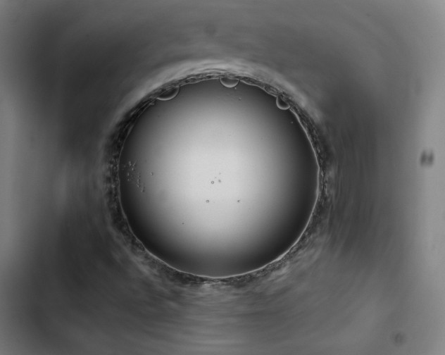 X0000103411496200809121253