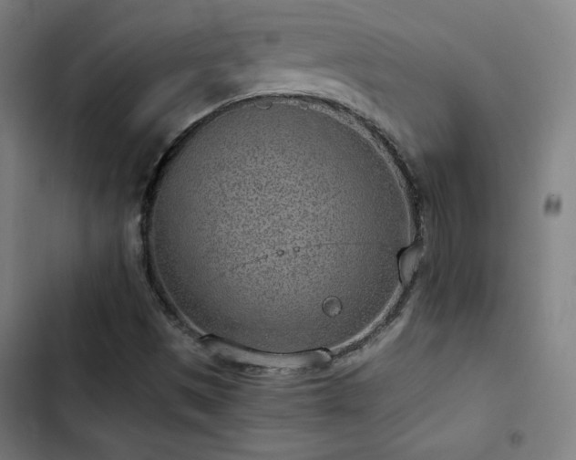 X0000103411497200809121253