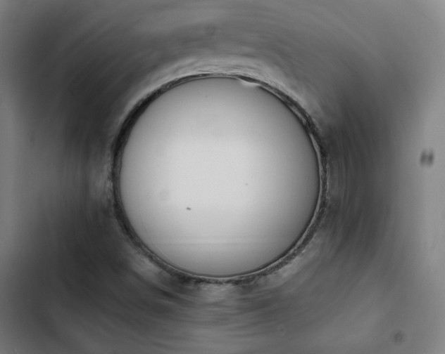 X0000103411498200809121253