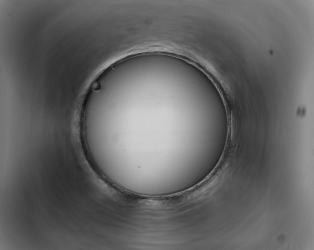 X0000103411500200809121253