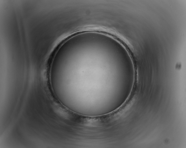 X0000103411501200809121253
