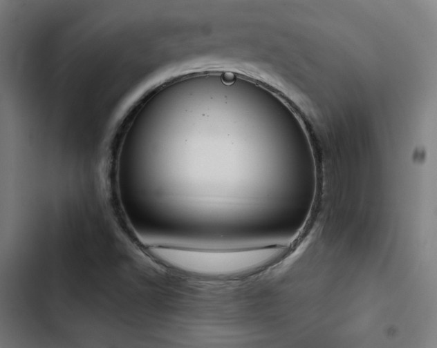 X0000103411502200809121253
