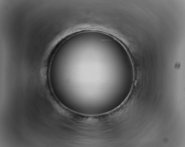 X0000103411503200809121253