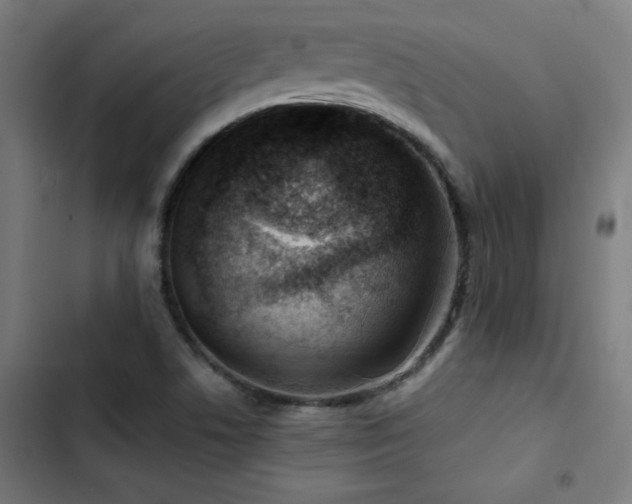 X0000103411506200809121253