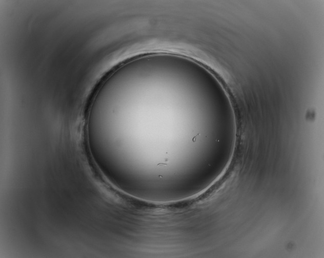 X0000103411507200809121253
