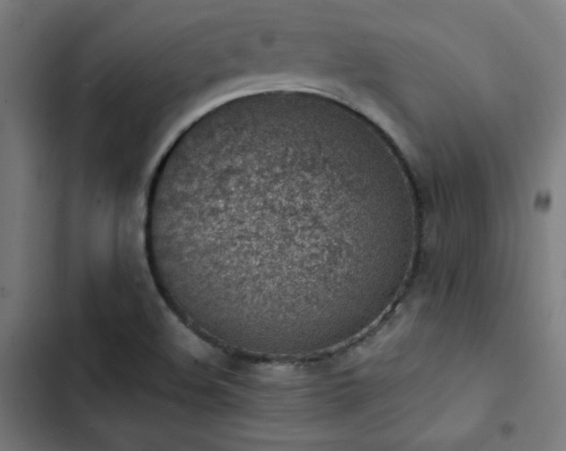 X0000103411508200809121253
