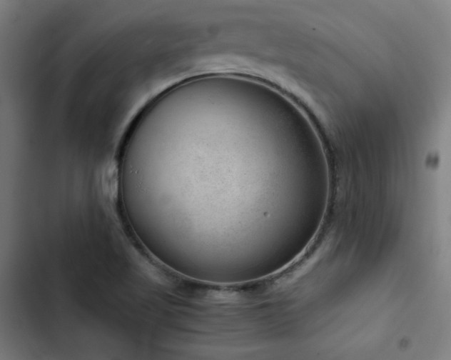X0000103411509200809121253