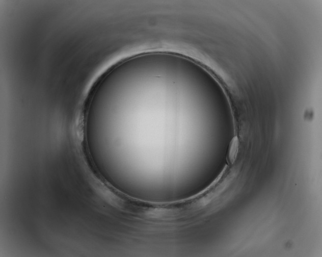 X0000103411510200809121253