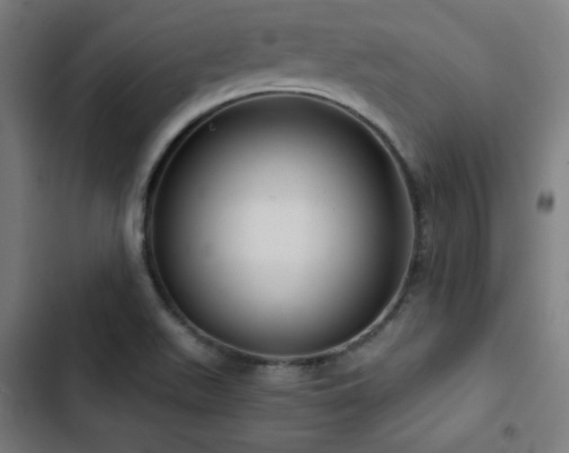 X0000103411511200809121253